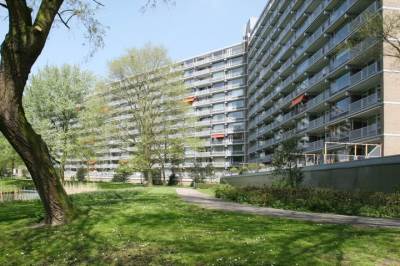 Woning Griegplein 244 Schiedam