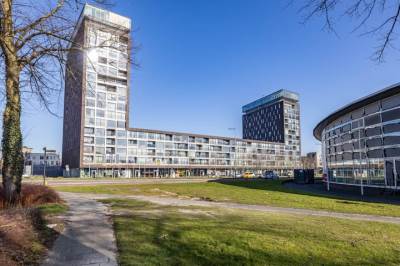 Woning Het Hout 117 Groningen