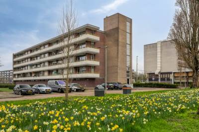 Woning Van Borselenstraat 40 Arnhem
