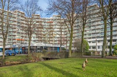 Woning Forellendaal 708 Den Haag