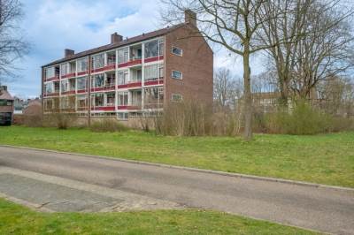 Woning Vogelplantsoen 37 Dieren