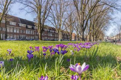 Woning Burgemeester van Tuyllkade 1 Utrecht