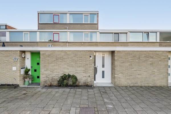 Woning Clematis 15 Monster