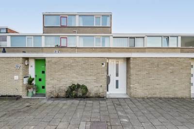 Woning Clematis 15 Monster