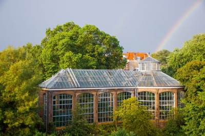 Woning Hortusplantsoen 42 Amsterdam