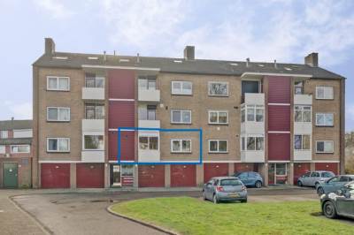 Woning Vogelplantsoen 126 Dieren