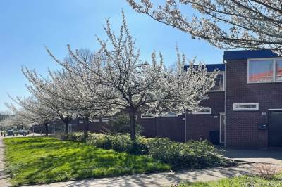 Woning Theodorus Majofskistraat 38 Amsterdam