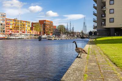 Woning De Brink 116 Groningen