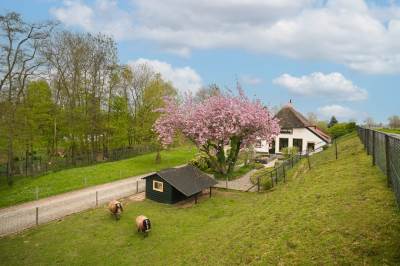 Woning de Tuut 16 Appeltern
