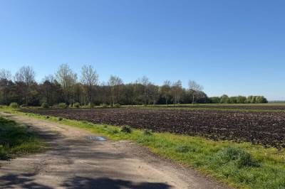 Bouwgrond Boslaan - kavel 2 Oude Pekela