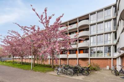 Woning Het Laagt 10 Amsterdam