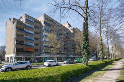 Woning Koning Lodewijklaan 234 Apeldoorn