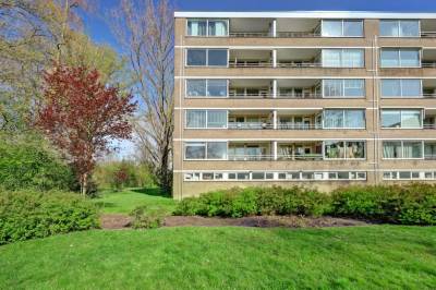 Woning Van Bassenstraat 162 Rotterdam