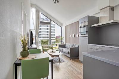 Woning Nico Andriessenstraat 43A33 Haarlem