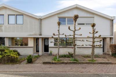 Woning Van Hallstraat 24 Goes
