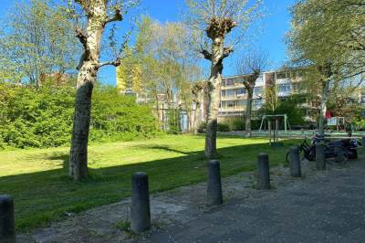 Woning 2e Eeldepad 33 Den Haag