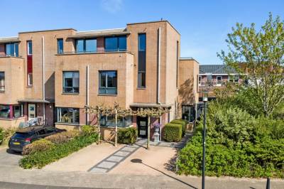 Woning Slangekruid 50 Monster
