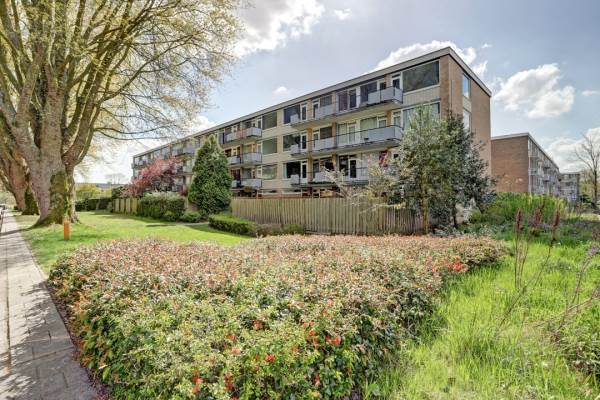 Woning Van Opbergenstraat 10 Rotterdam