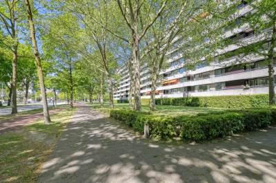 Woning Amundsenlaan 243 Eindhoven