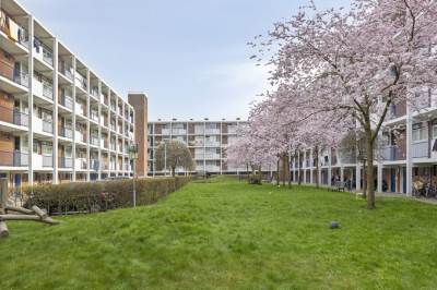 Woning Otterrade 24 Den Haag