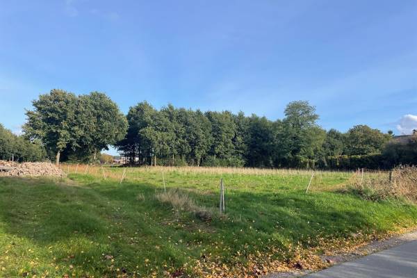 Agrarische grond Molenweg Elspeet