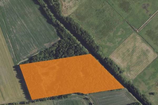 Agrarische grond Middelste Weg 1ong Oosterhesselen
