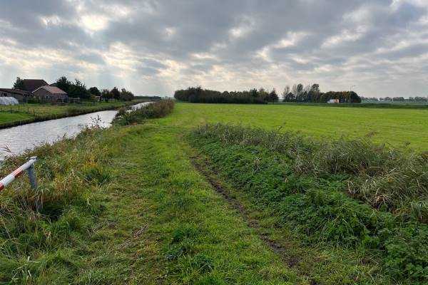 Agrarische grond Postweg Tholen