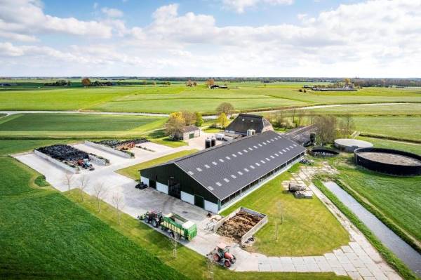 Agrarisch bedrijf Droppingwei 4 Hantumeruitburen