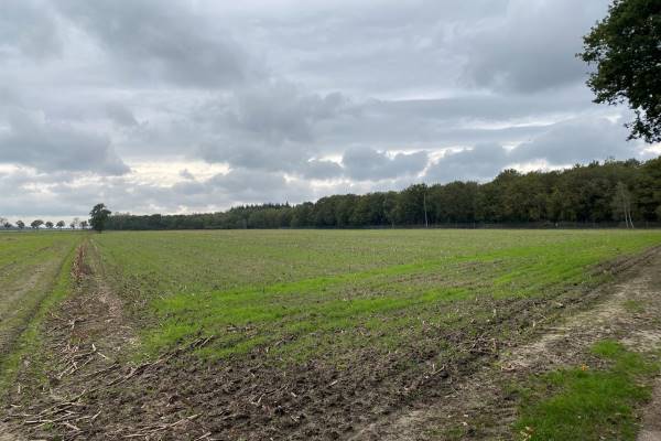 Agrarische grond Cultuurgrond Moleneind Gilze
