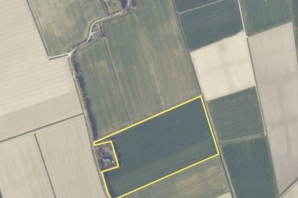 Agrarische grond Saaxumhuizerweg Saaxumhuizen
