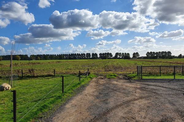Agrarische grond Wolfsdijk nabij 29 Ede