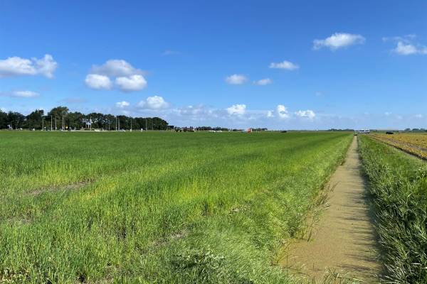 Agrarische grond Keinsmerweg &#39;t Zand