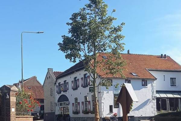Horecagelegenheid Oud-Valkenburg 18 Schin op Geul
