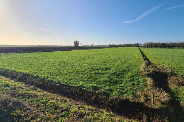 Agrarische grond Leeuwkesgraaf Maren-Kessel