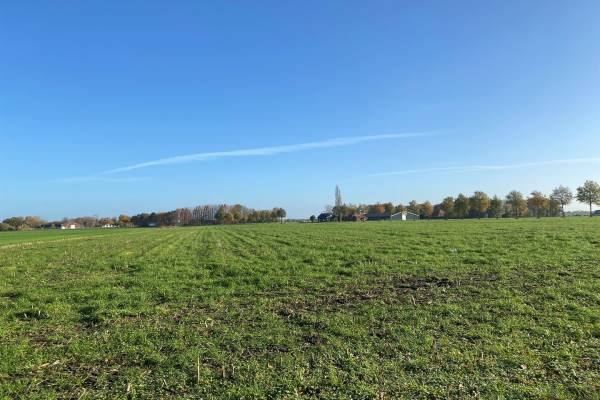 Agrarische grond Rietgoorsestraat Roosendaal