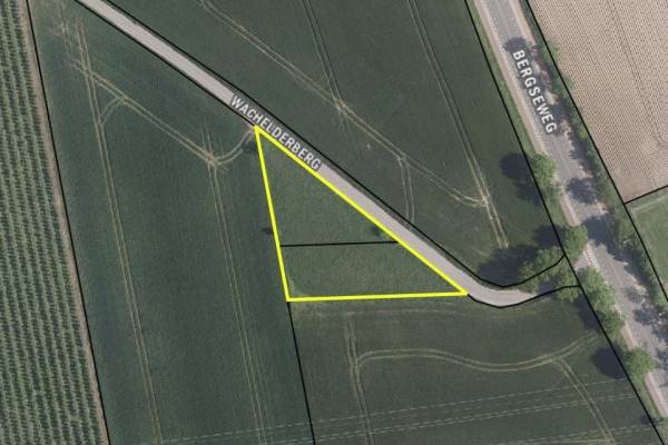 Agrarische grond Wachelderberg Voerendaal