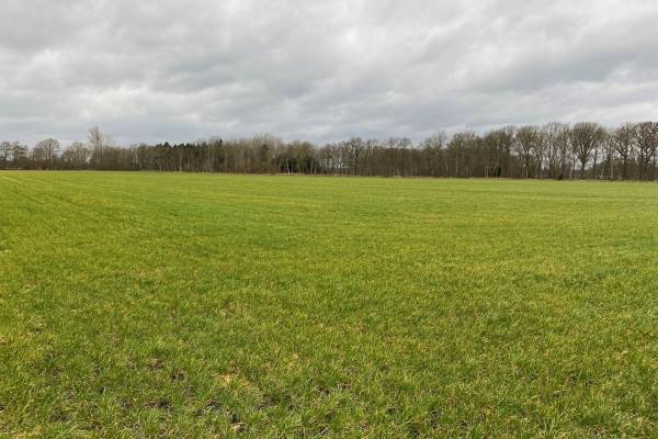Agrarische grond Eleveld Eleveld
