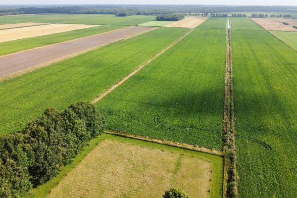 Agrarische grond Noordzijde Odoornerveen