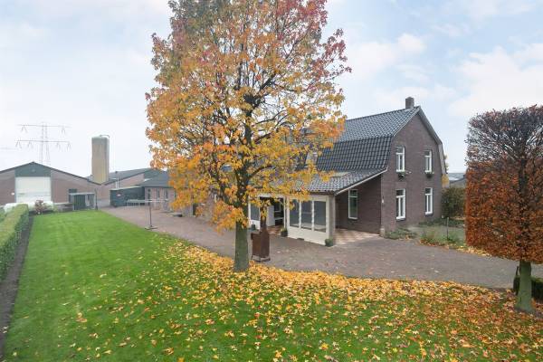 Agrarisch bedrijf Eijkenhofweg 18 Veulen