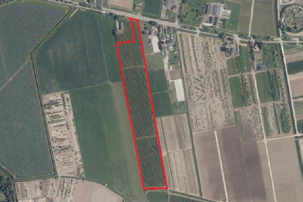 Agrarische grond Stationsweg Echteld