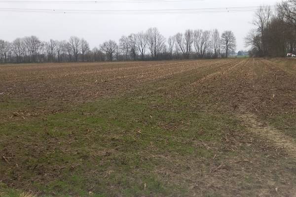 Agrarische grond Laageindsbroek Rijkevoort