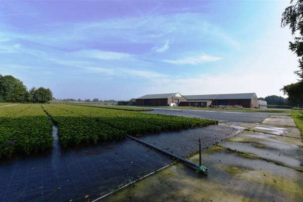 Agrarisch bedrijf Achterst Ven 1 Veghel