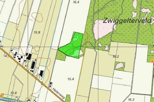 Agrarische grond Halerweg Zwiggelte