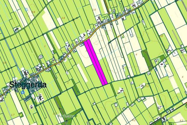 Agrarische grond Steggerdaweg Steggerda