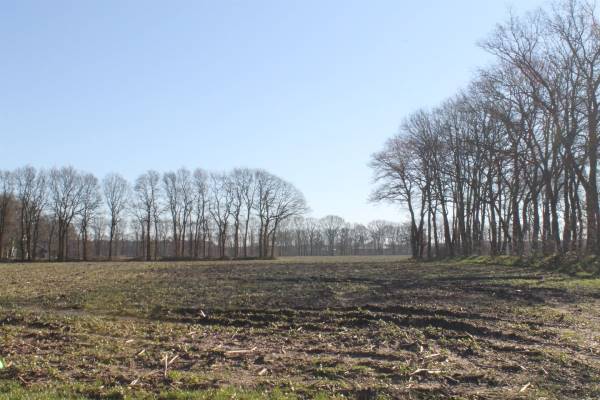 Agrarische grond Grond nabij Wolweg/ Harskamperweg Stroe
