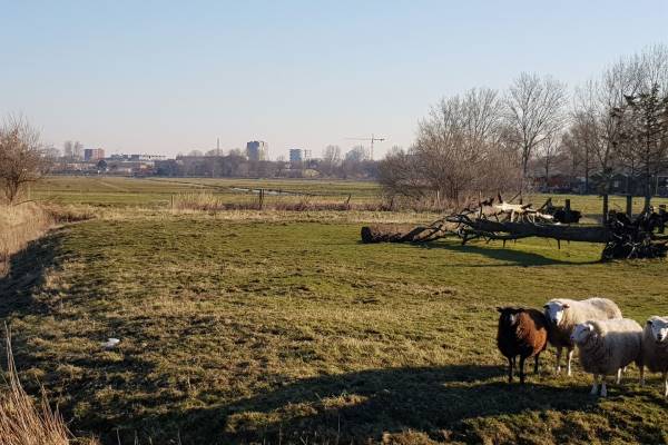 Bouwgrond Osdorperweg Amsterdam