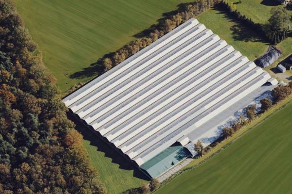 Agrarisch bedrijf Hazelbroek 1a Overloon