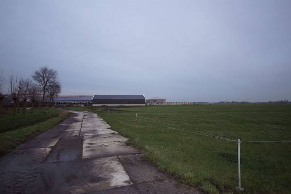 Agrarisch bedrijf Omgeving Sneek Sneek