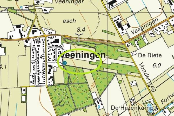 Agrarische grond Dorpshuisstraat 39a Veeningen