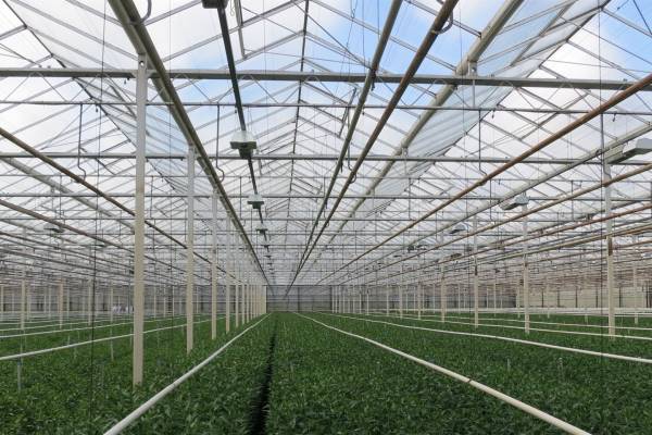 Agrarisch bedrijf Groendalseweg 68 Bleiswijk